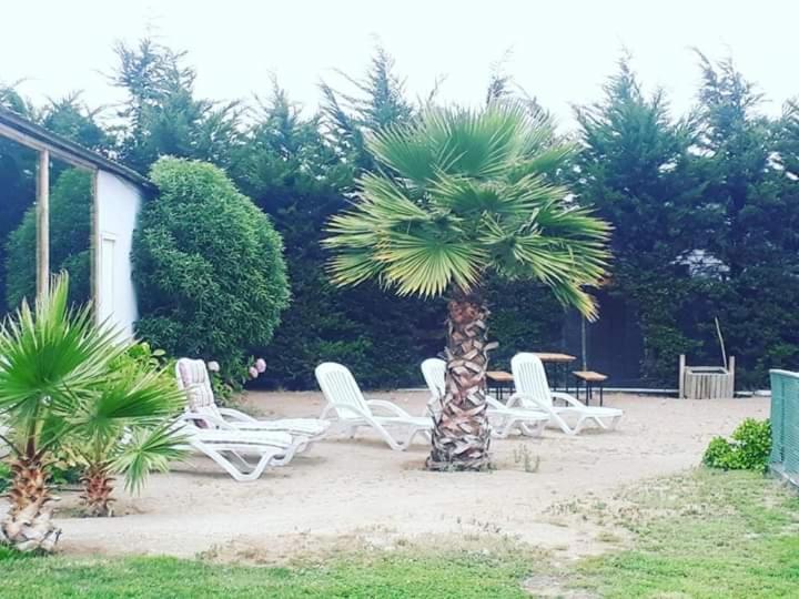 Hotel Del Valle Quilimari ピチダンギ エクステリア 写真